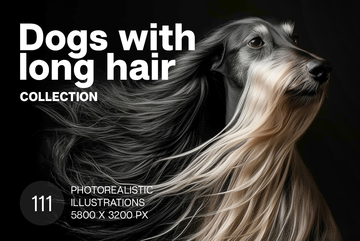 Dogs with long hair Dogs with long hair