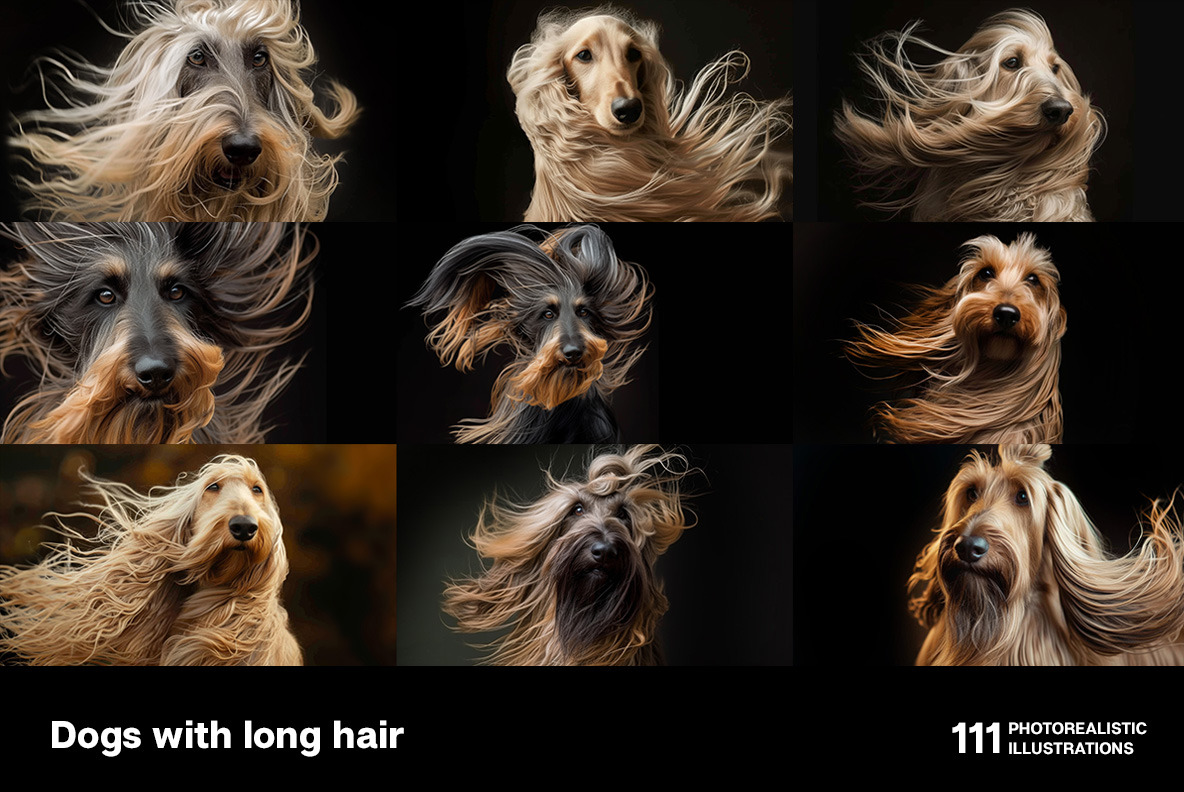 Dogs with long hair Dogs with long hair