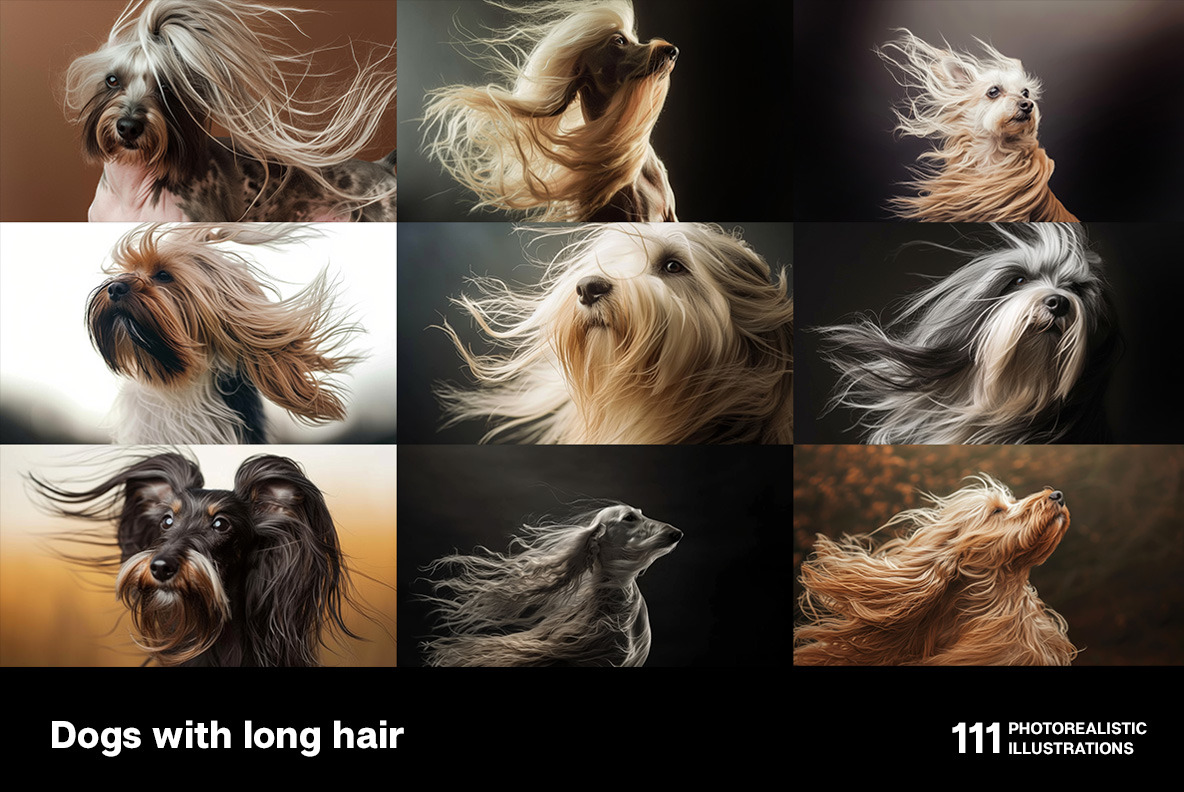 Dogs with long hair