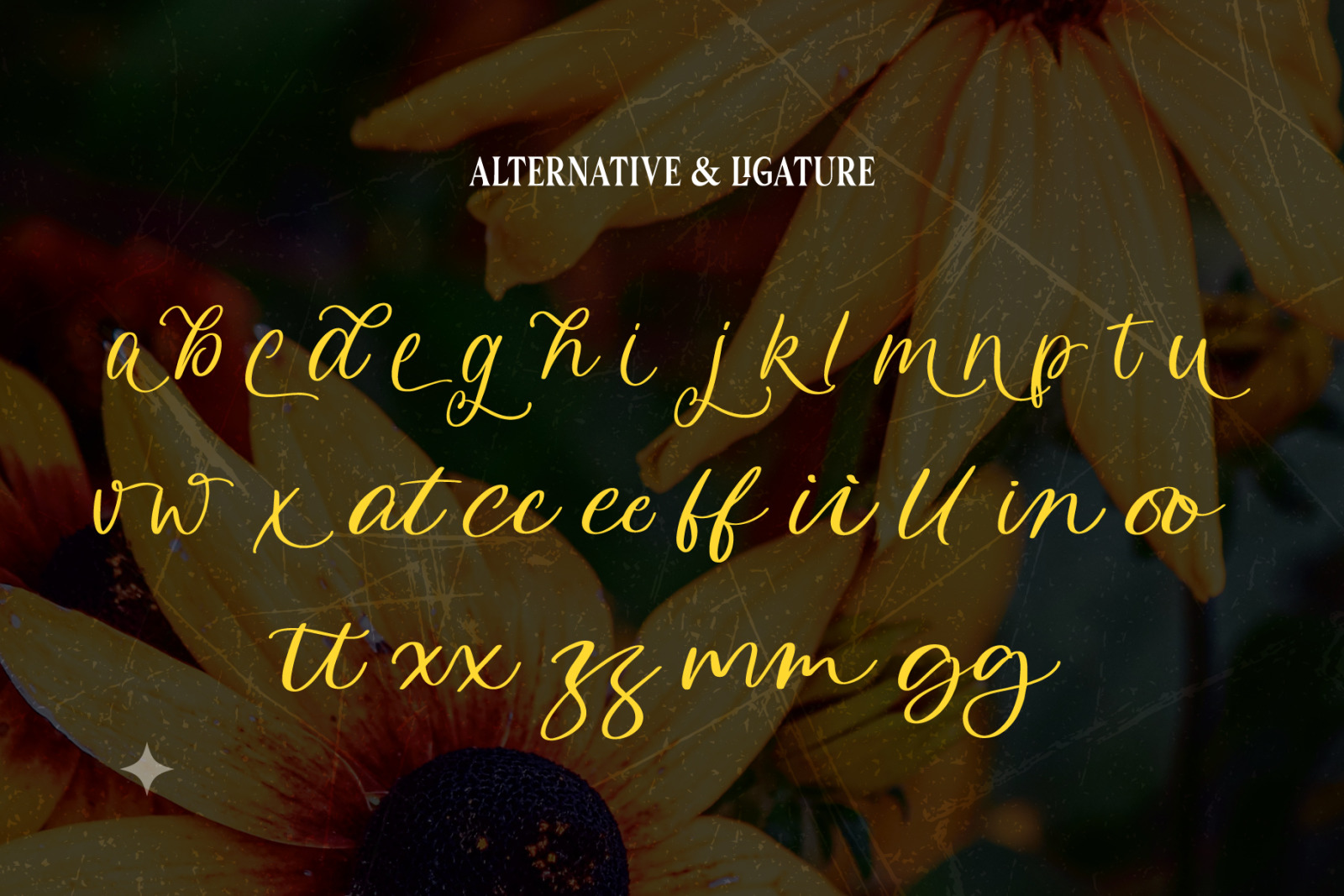 Alvita Rainer - Cursive Script