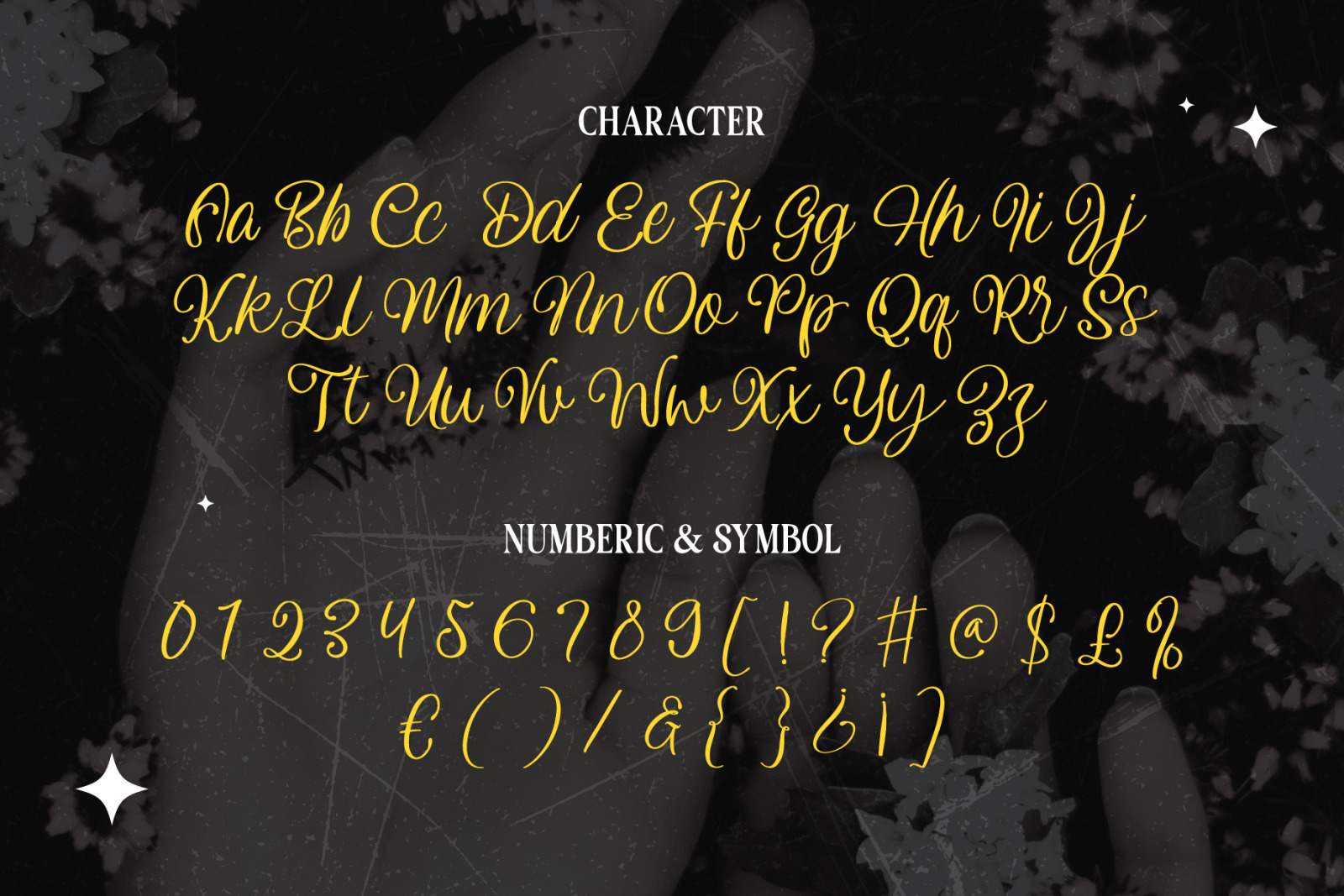 Alvita Rainer - Cursive Script Alvita Rainer - Cursive Script
