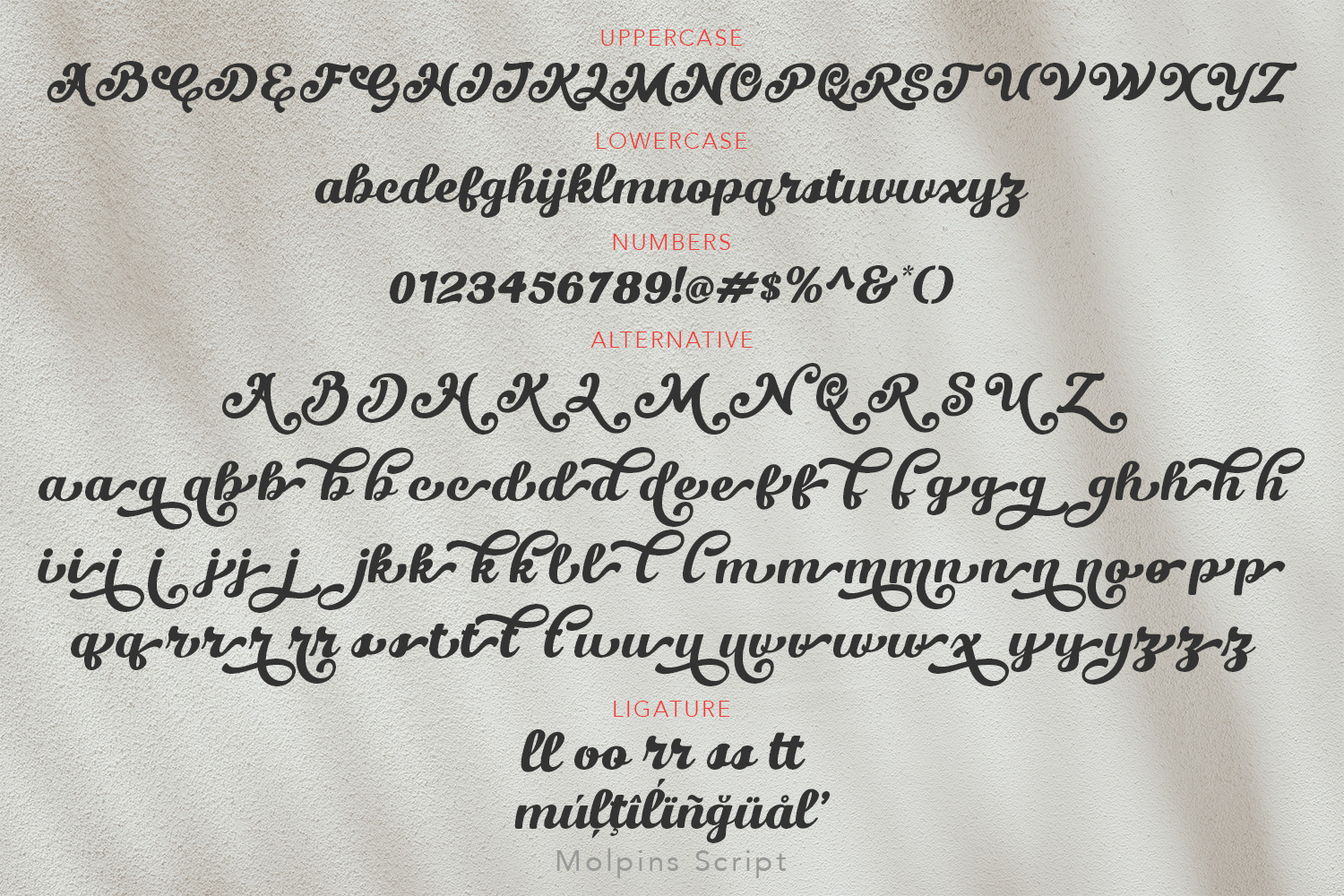 Molpins Script Molpins Script