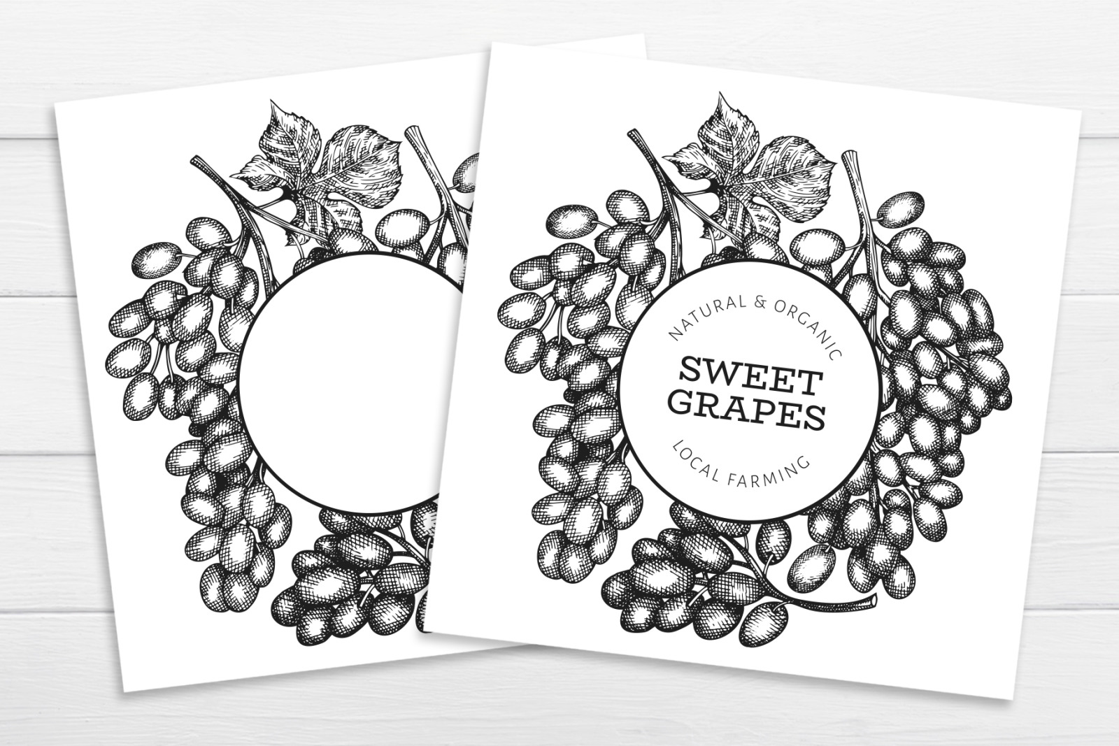 Grape Vector Collection Grape Vector Collection