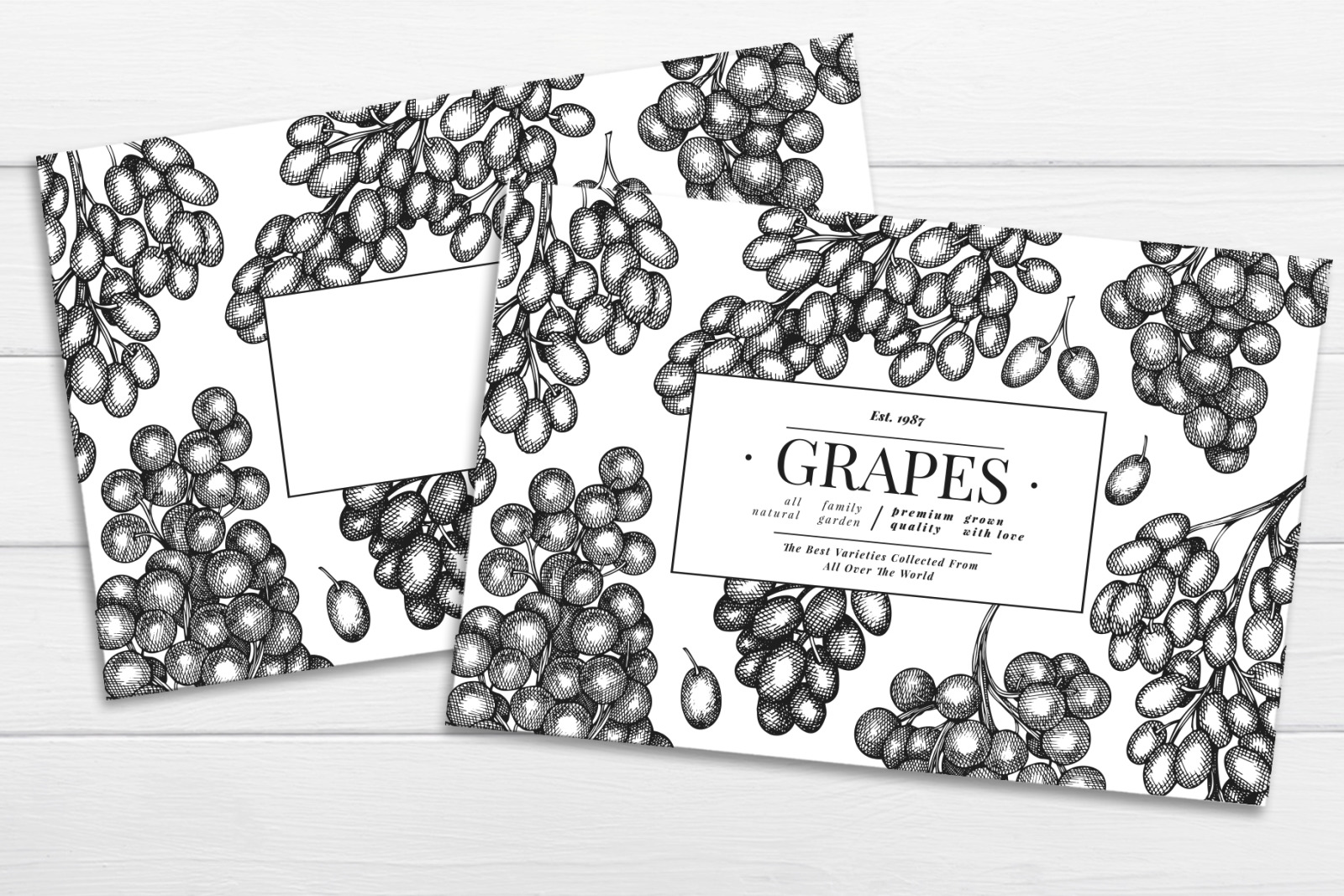 Grape Vector Collection Grape Vector Collection