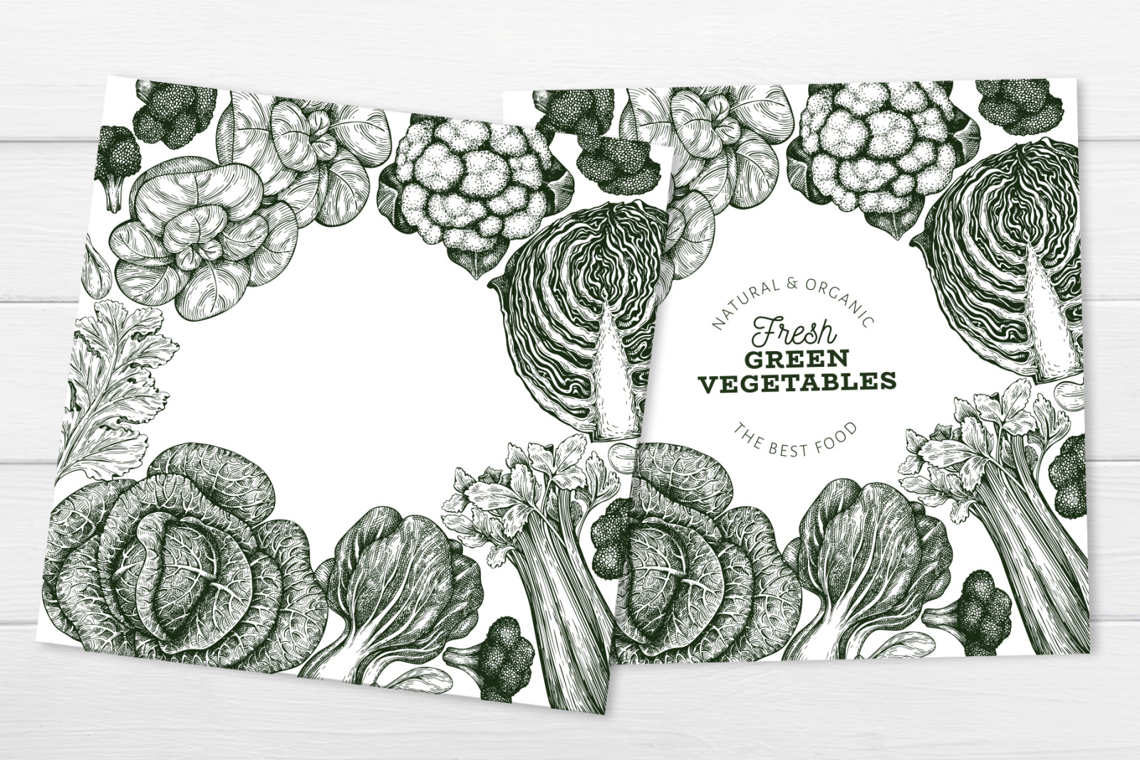 Vegetable Vector Collection#2