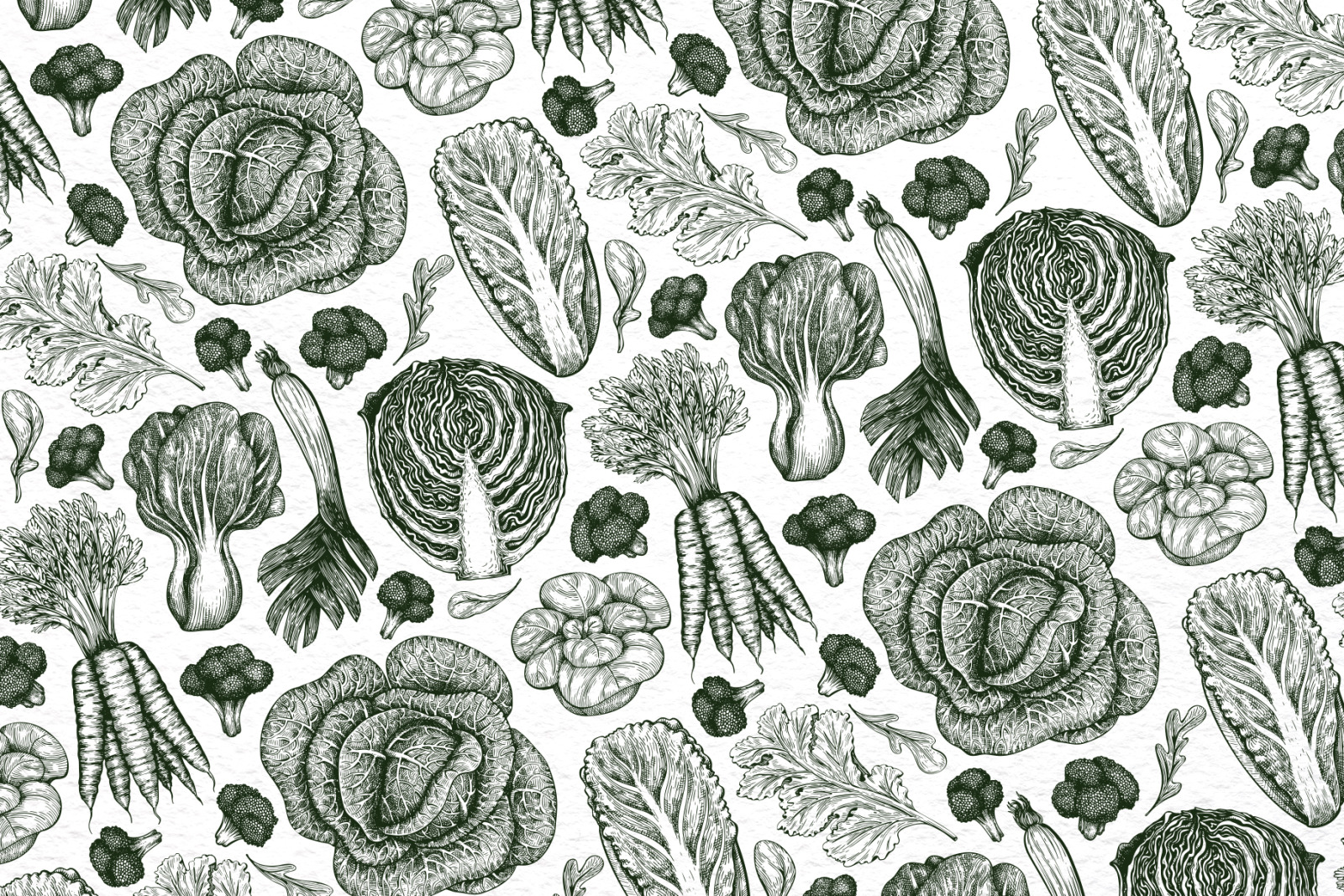 Vegetable Vector Collection#2