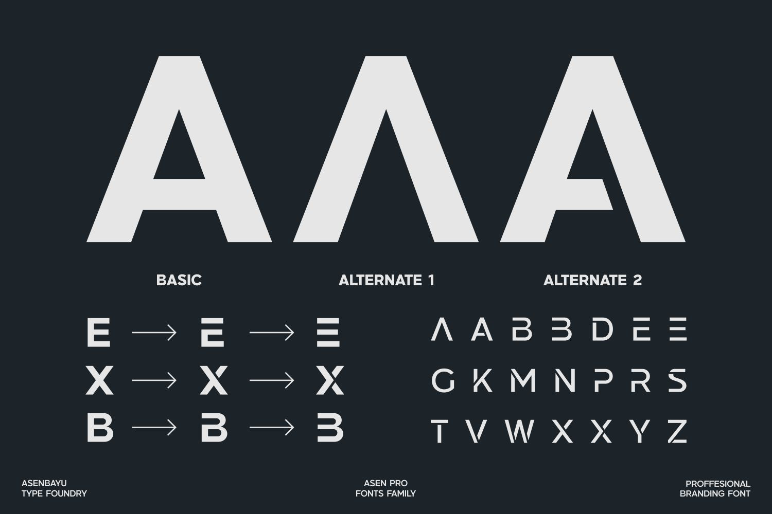 Asen Pro - Geometric Branding Fonts