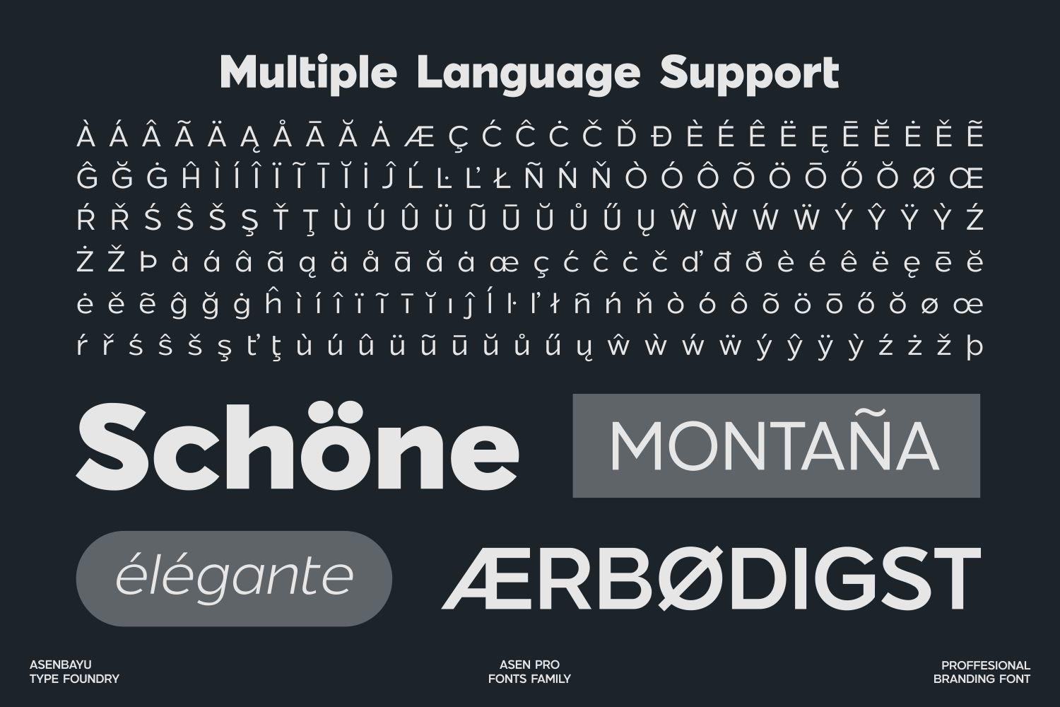 Asen Pro - Geometric Branding Fonts Asen Pro - Geometric Branding Fonts
