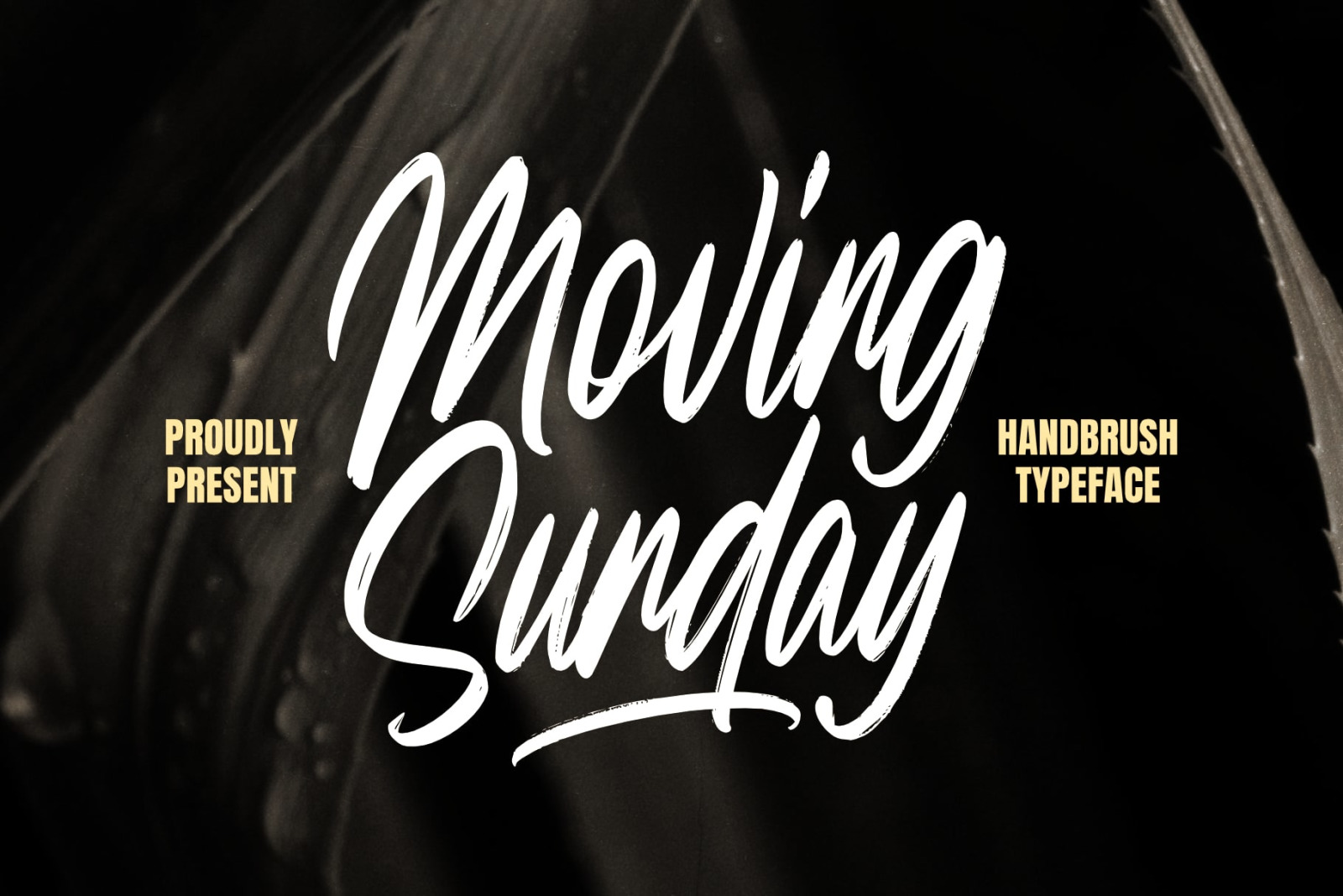 Moving Sunday Handbrush Moving Sunday Handbrush