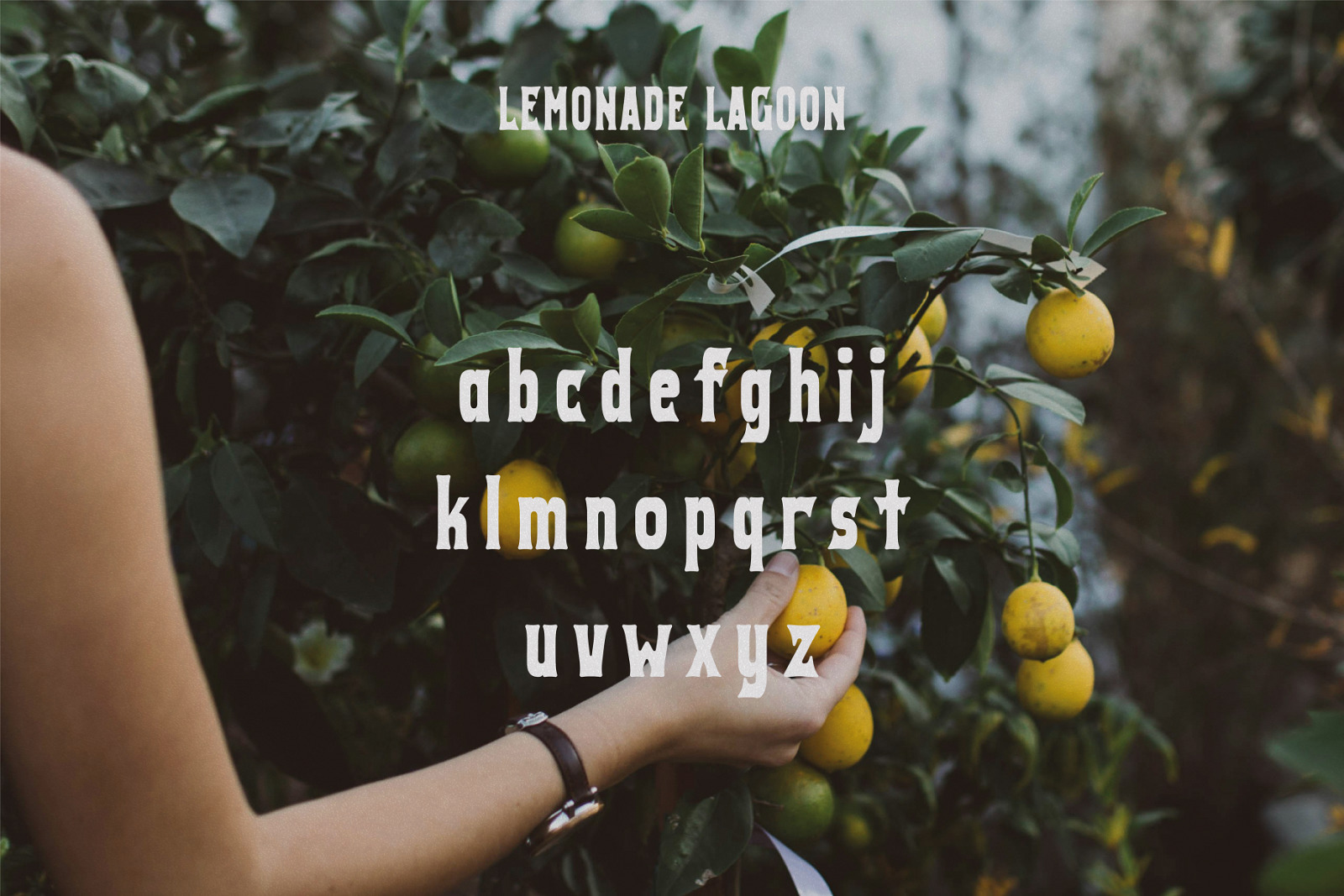 Lemonade Lagoon - Vintage Typeface Lemonade Lagoon - Vintage Typeface