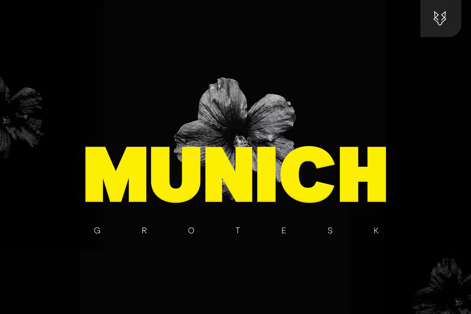 Munich Pro Display Font