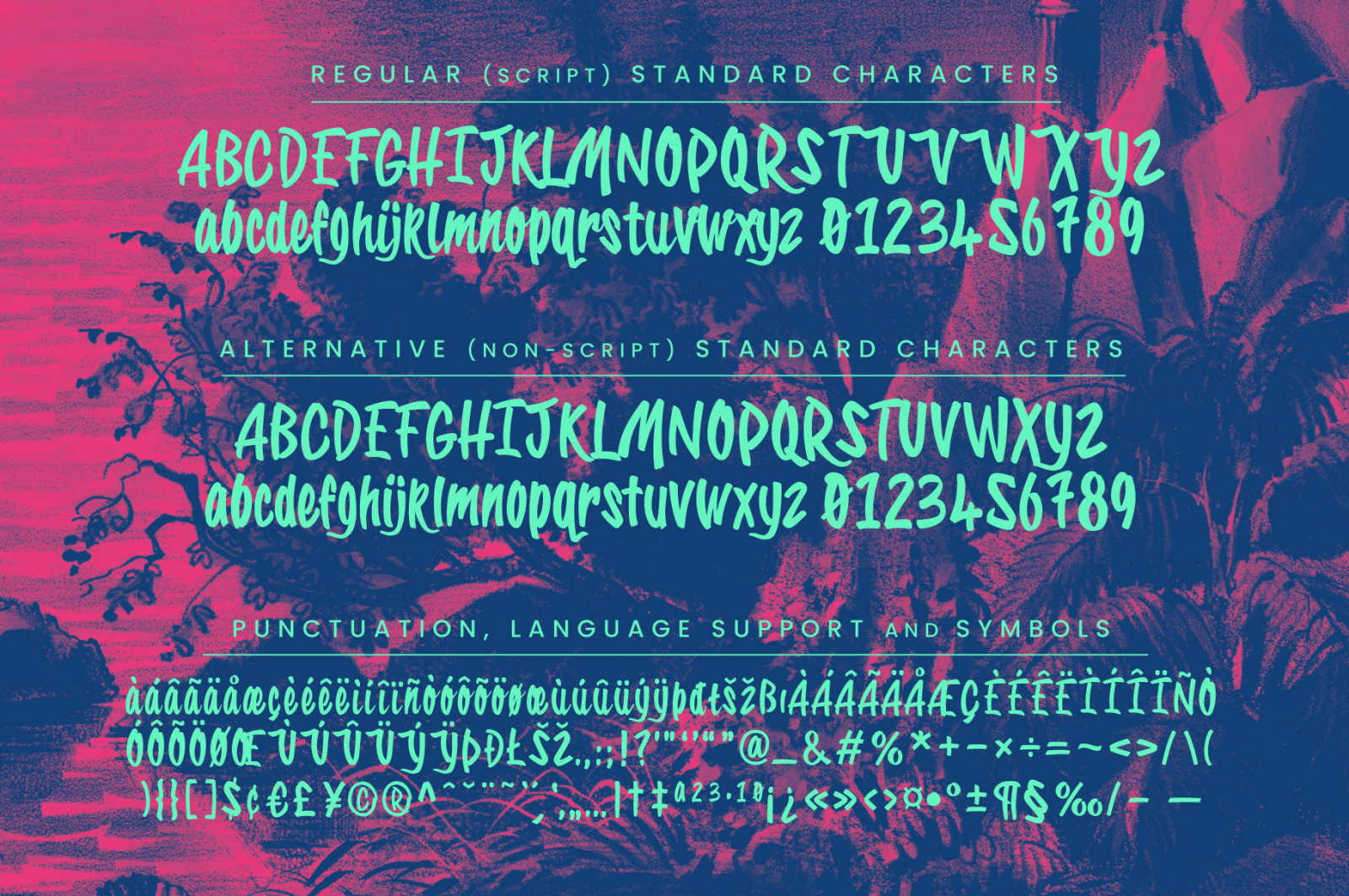 Tropical Carnival: A Sunny Brush Script Font