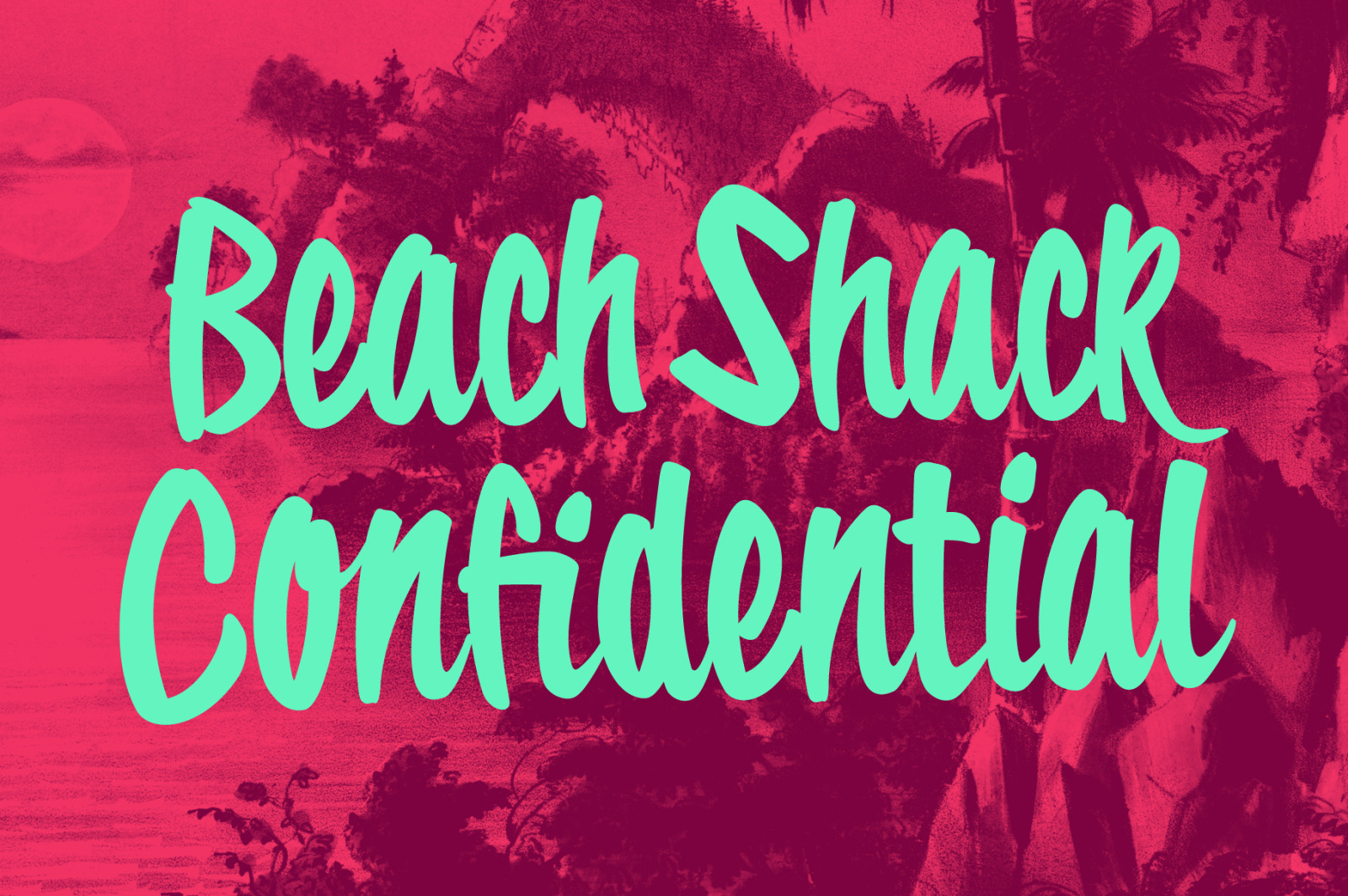 Tropical Carnival: A Sunny Brush Script Font Tropical Carnival: A Sunny Brush Script Font