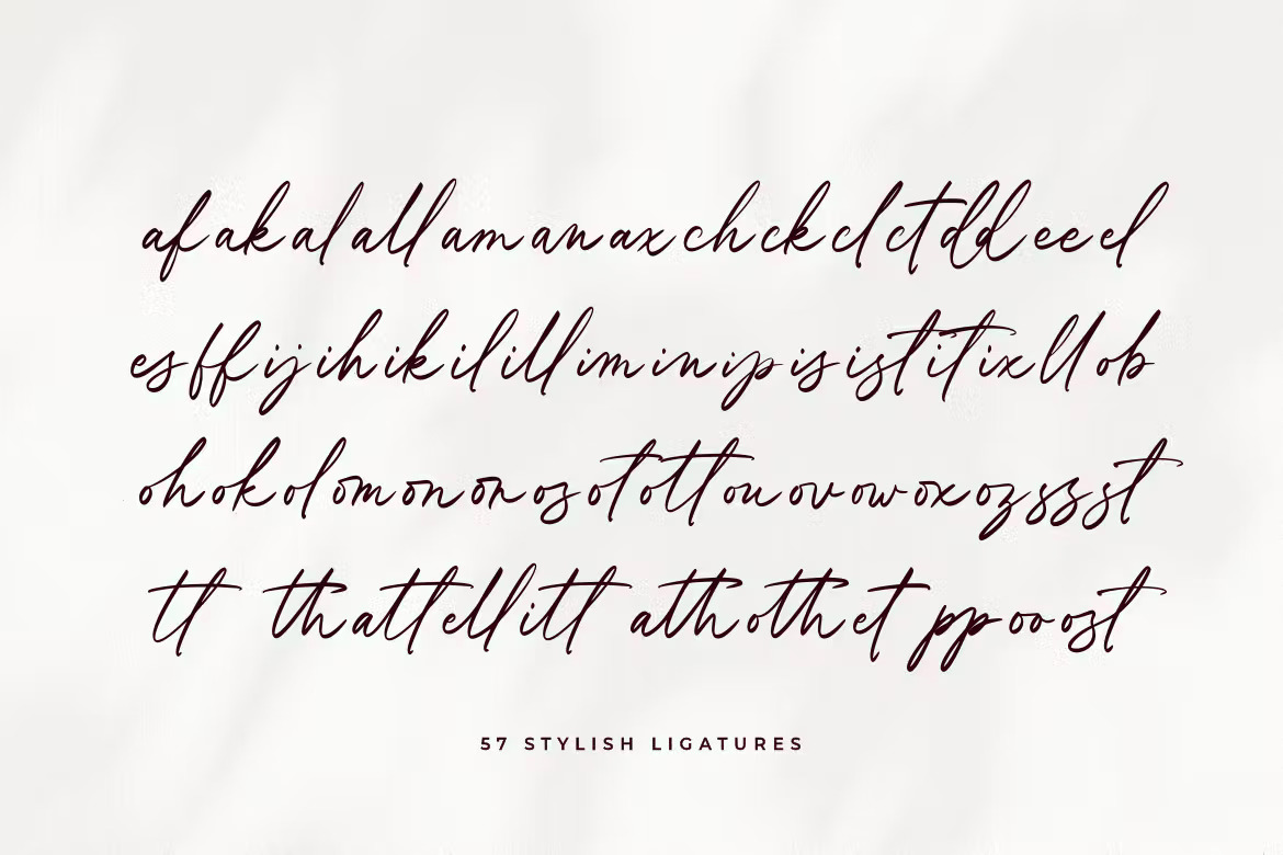 Aesthete Signature Font Aesthete Signature Font
