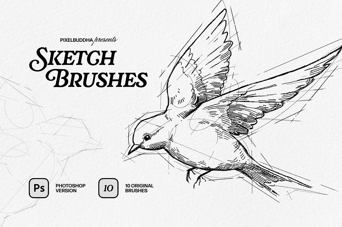 Sketch Brushes for Photoshop