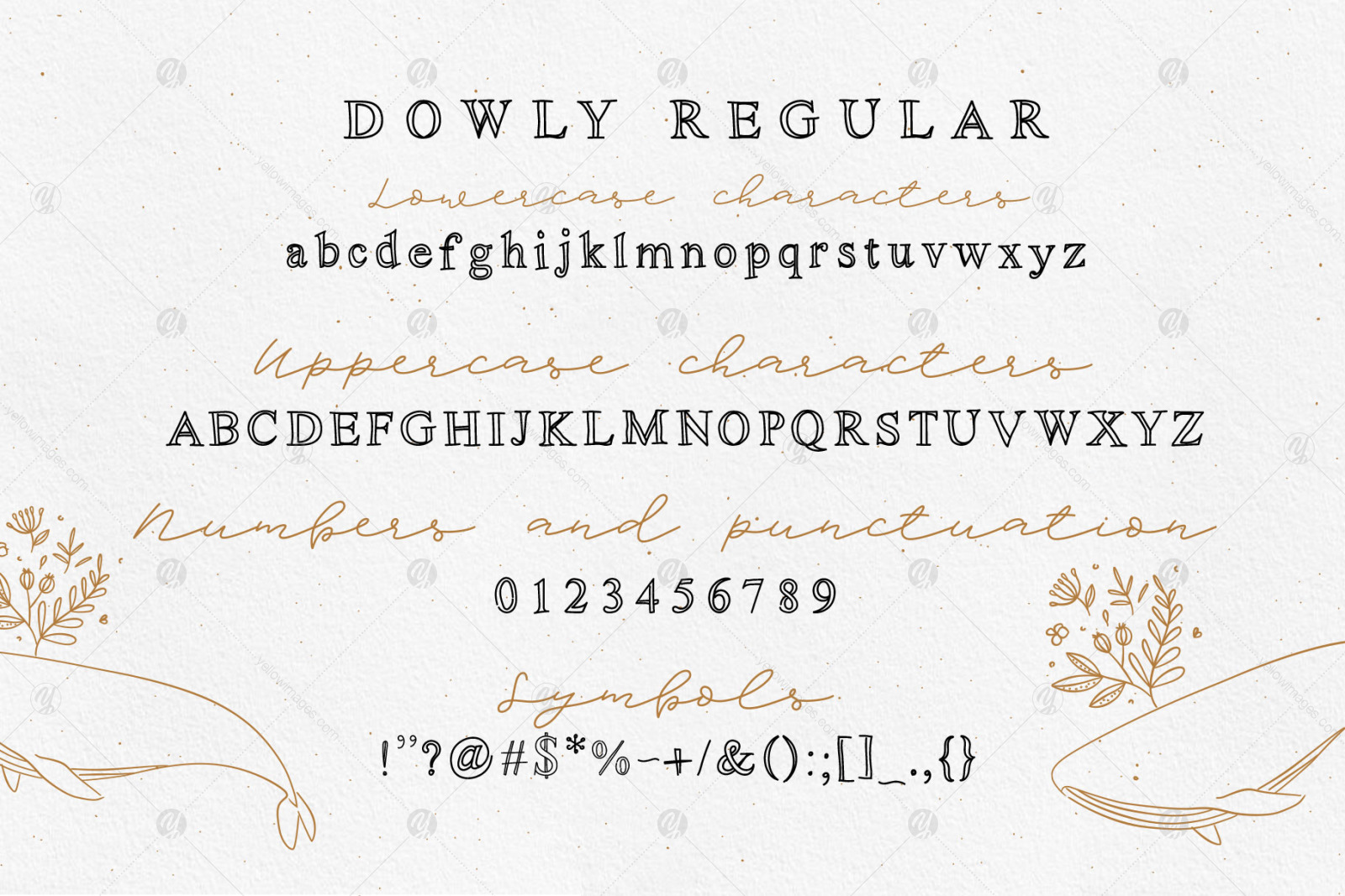 Dowly Font Dowly Font