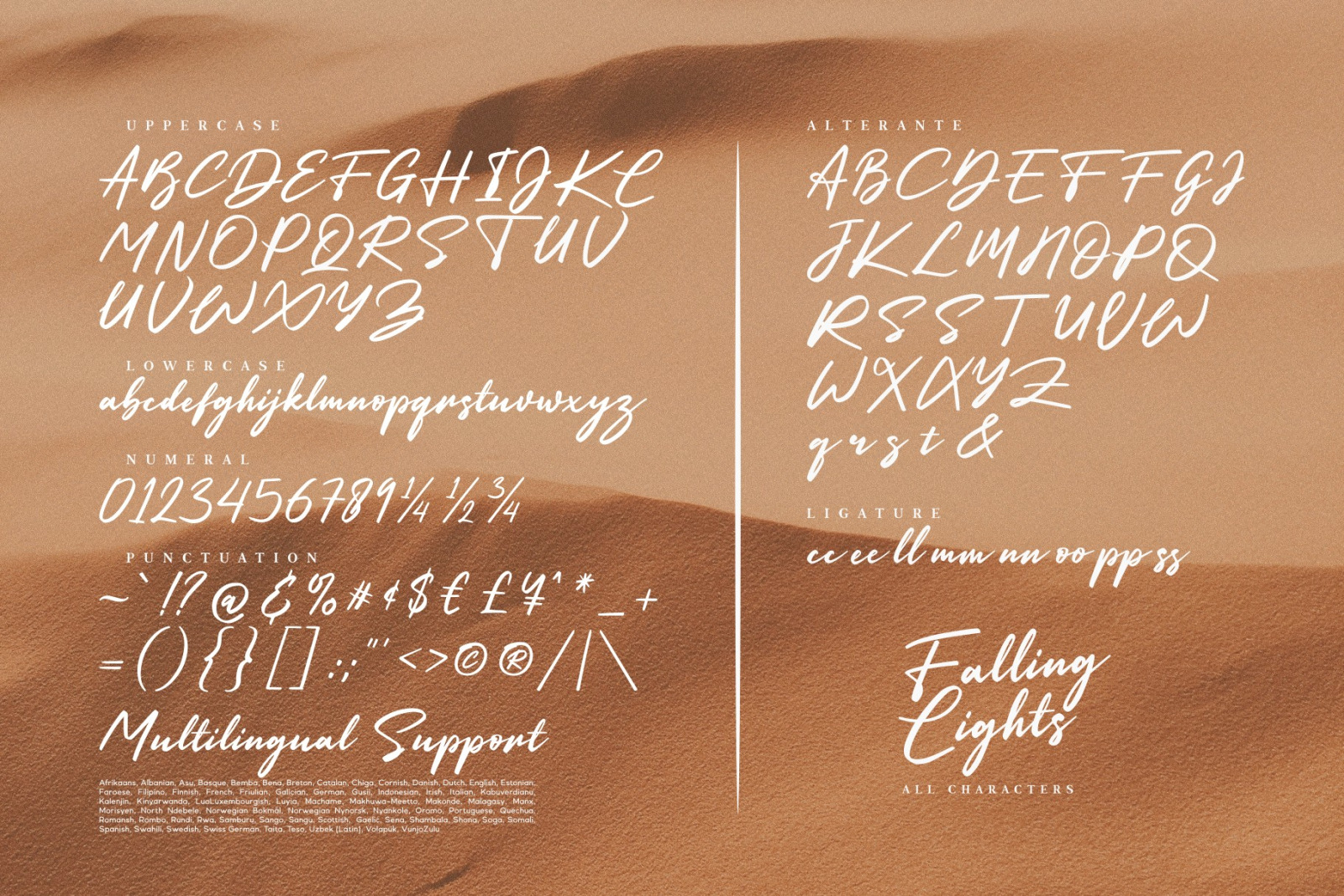 Falling Lights / Signature Font Falling Lights / Signature Font