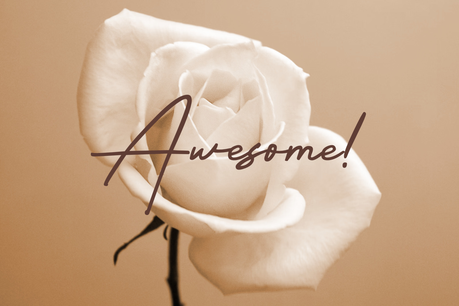 Viollents - Handwritten Font Viollents - Handwritten Font