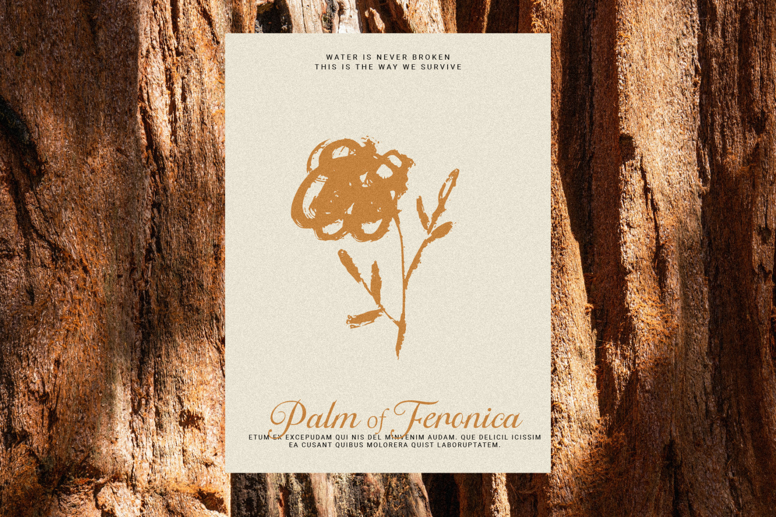 Hailcrown - Classic Script Font Hailcrown - Classic Script Font