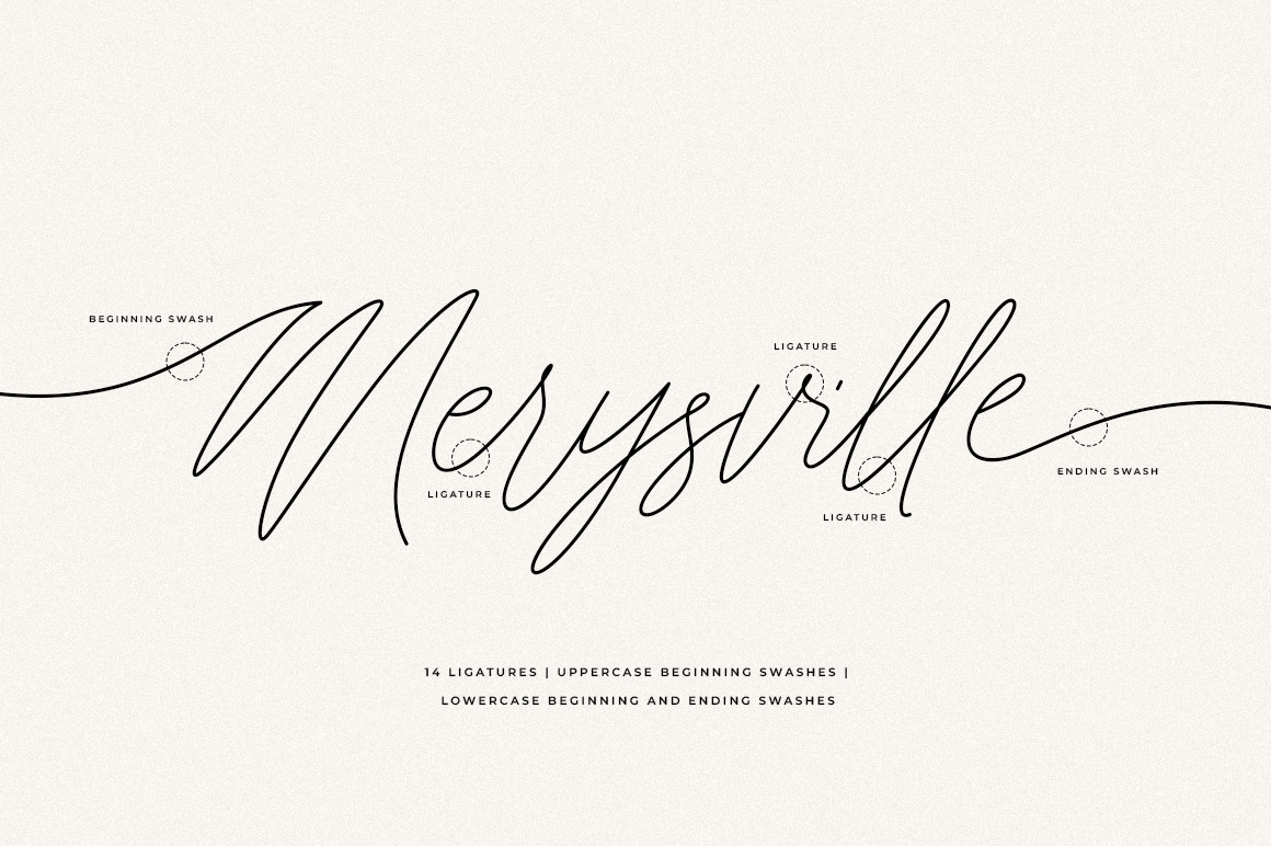 Merysville - Signature Font With Tails