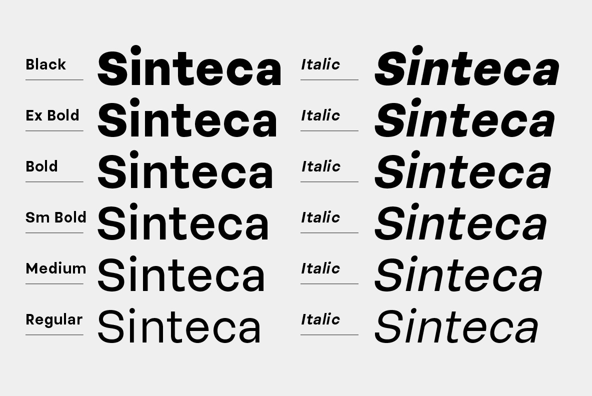 Sinteca Sans Serif Sinteca Sans Serif