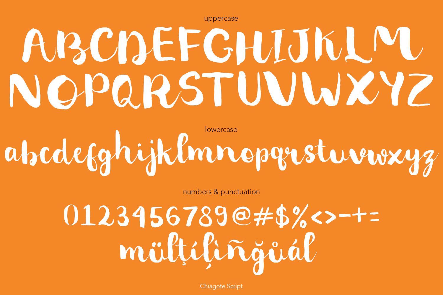 Chiagote Brush Script Chiagote Brush Script