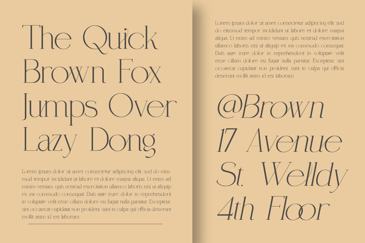 Coefficient Modern & Elegant Serif Family Coefficient Modern & Elegant Serif Family