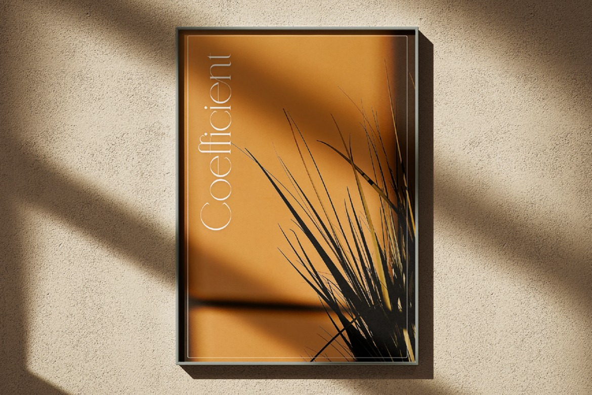 Coefficient Modern & Elegant Serif Family Coefficient Modern & Elegant Serif Family
