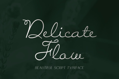 Delicate Flow - Signature Script Typeface - Modern script font