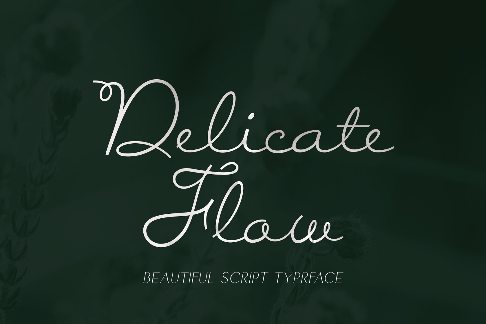 Delicate Flow - Signature Script Typeface Delicate Flow - Signature Script Typeface