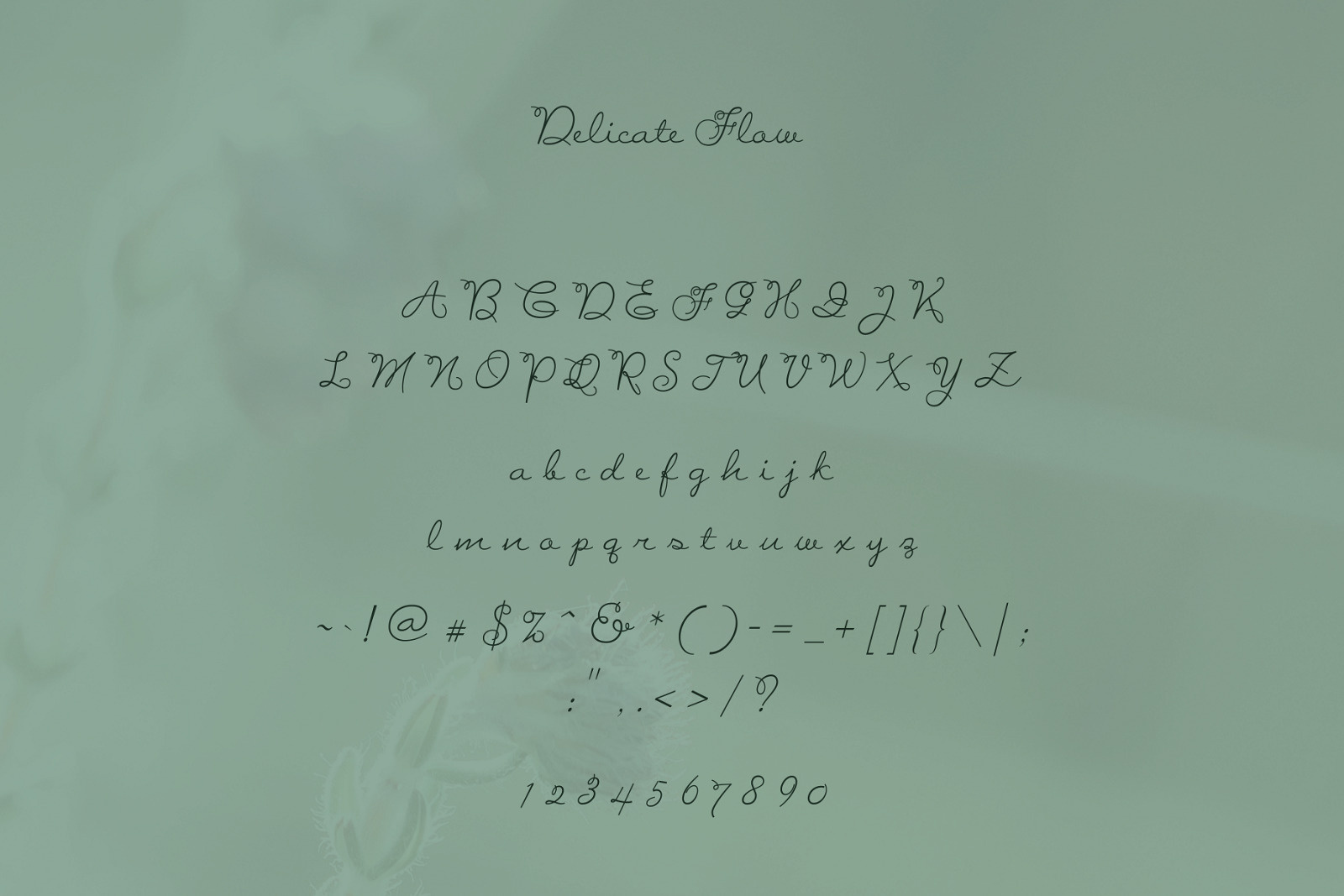 Delicate Flow - Signature Script Typeface Delicate Flow - Signature Script Typeface