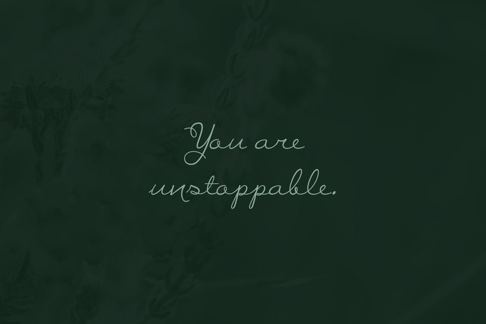 Delicate Flow - Signature Script Typeface Delicate Flow - Signature Script Typeface