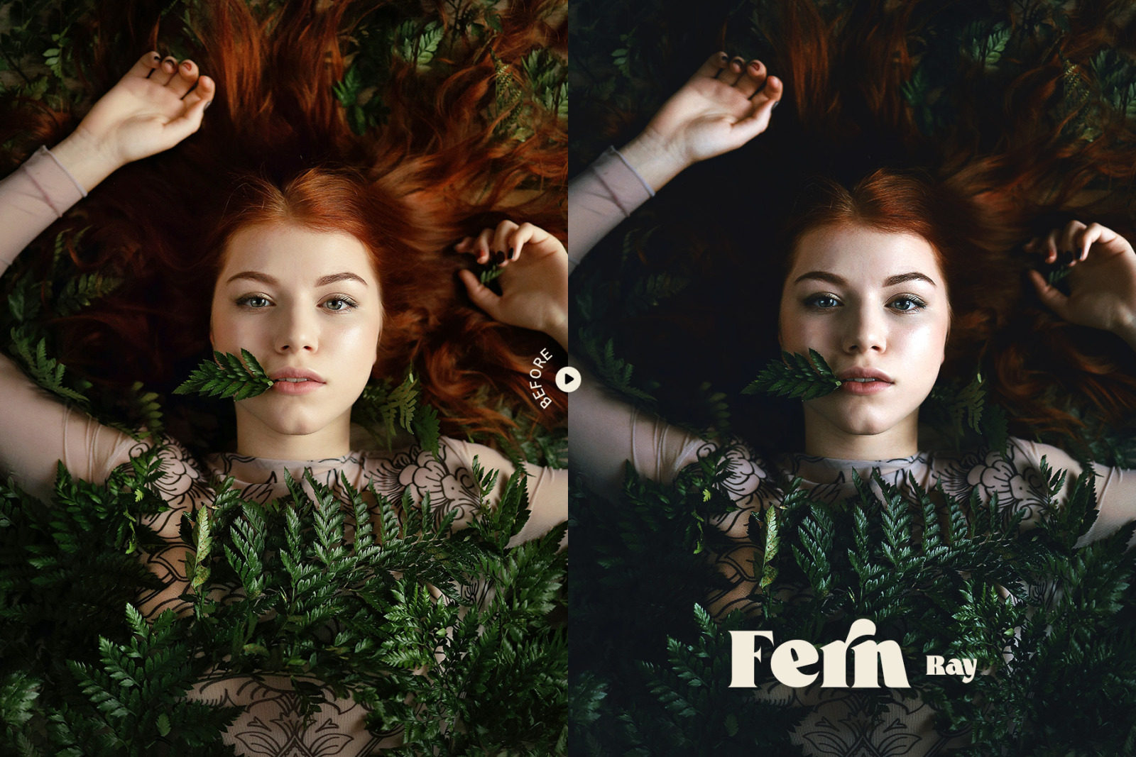 Fern Portrait Photoshop Action &amp; LUT