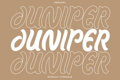 Juniper – Display Typeface - Rough font