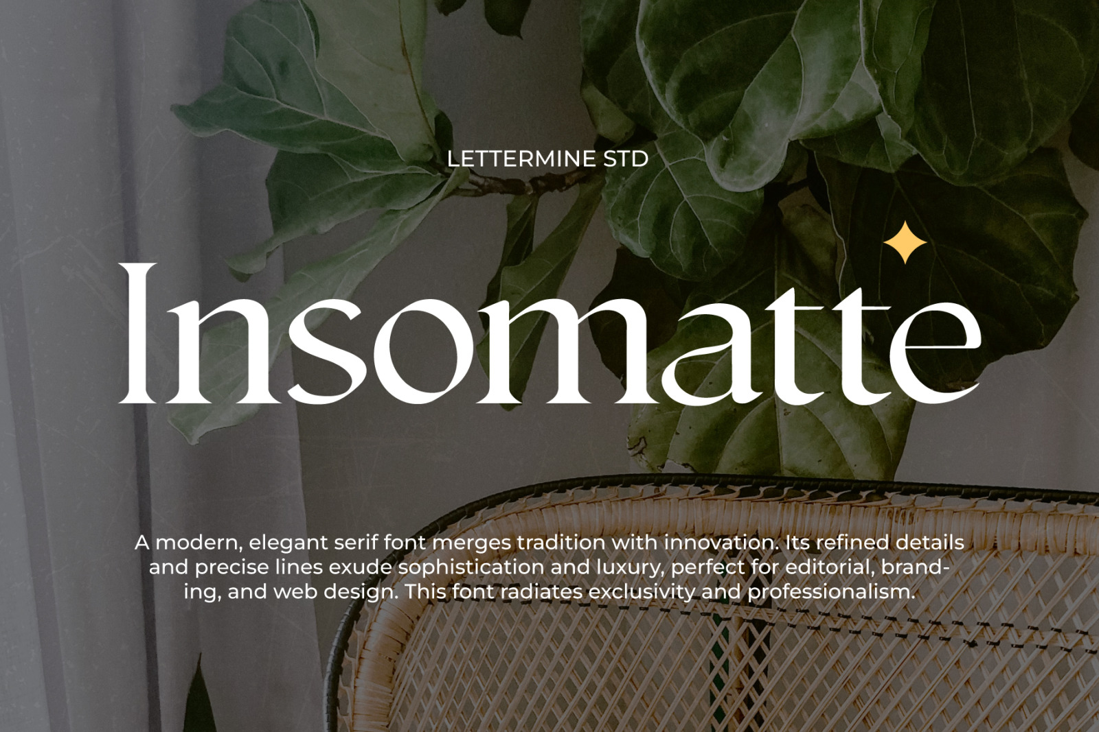 Insomatte - Modern Serif Insomatte - Modern Serif