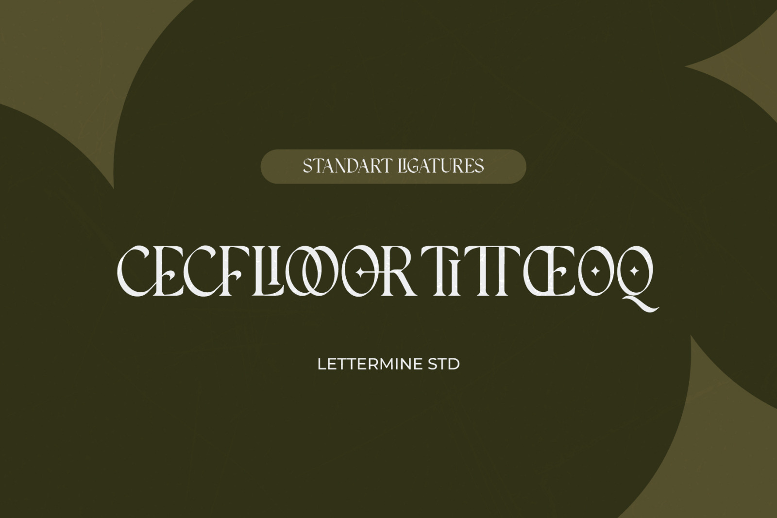 Insomatte - Modern Serif Insomatte - Modern Serif