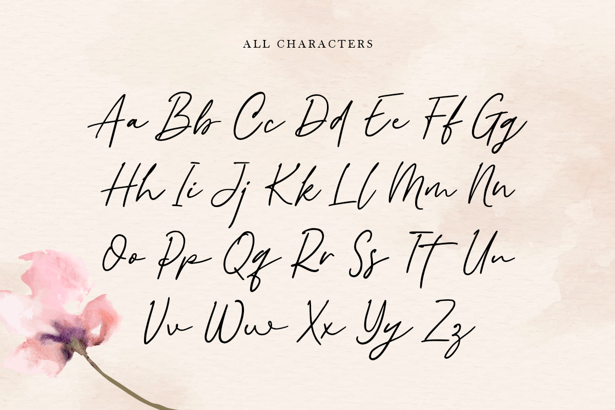 Cadfile - Modern Signature Font Cadfile - Modern Signature Font