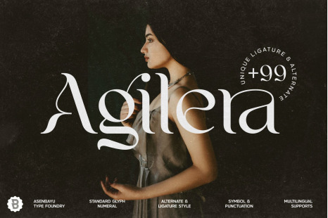 Agilera - Stylish Ligature Font - Magazine fonts