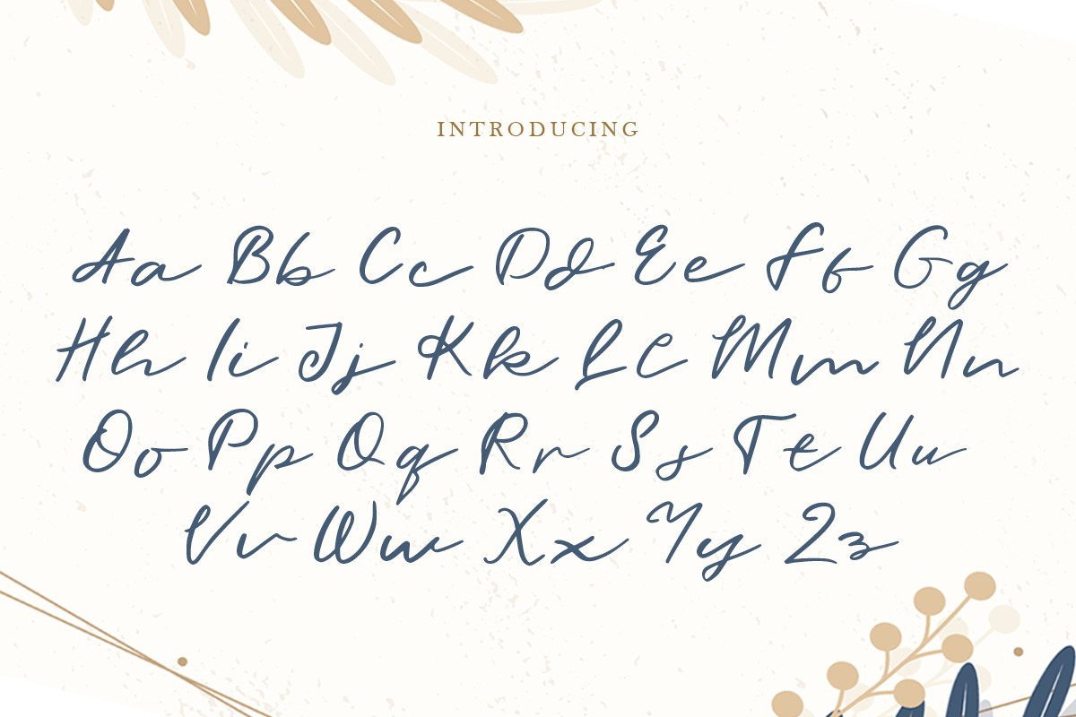 Merisa – Modern Script Font Merisa – Modern Script Font
