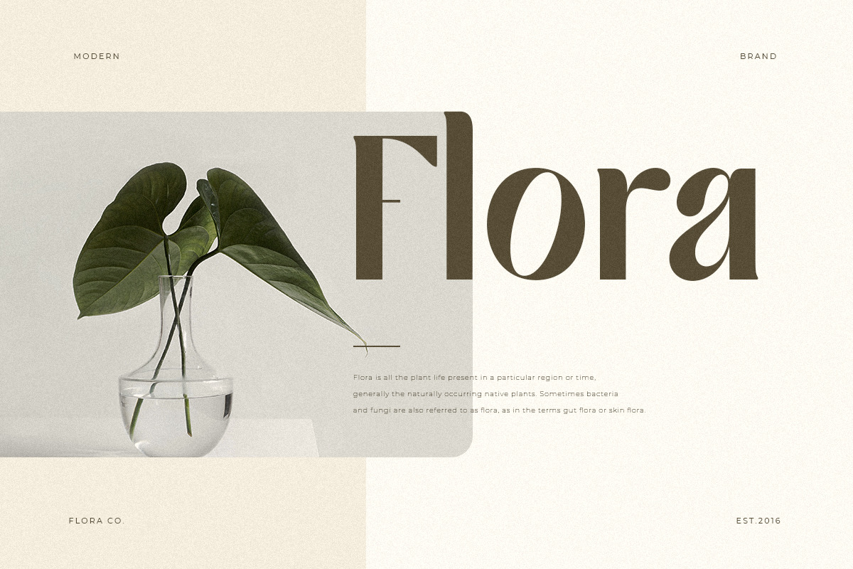 Glamour Lifestyle - Modern Classy Serif Font Glamour Lifestyle - Modern Classy Serif Font