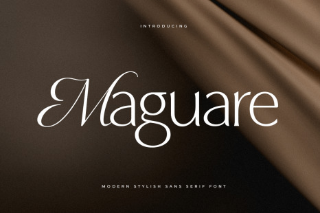 Maguare – Modern Stylish Serif Font - Stylish logo