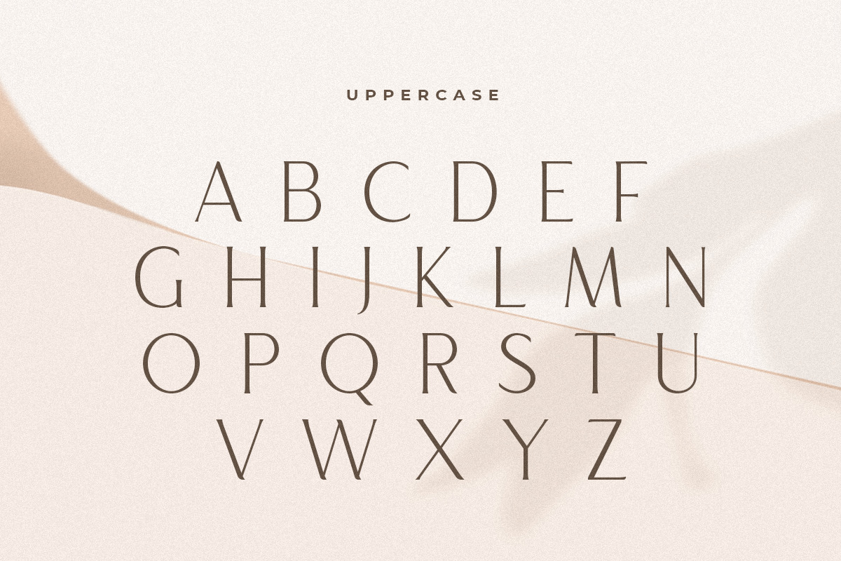 Maguare – Modern Stylish Serif Font Maguare – Modern Stylish Serif Font