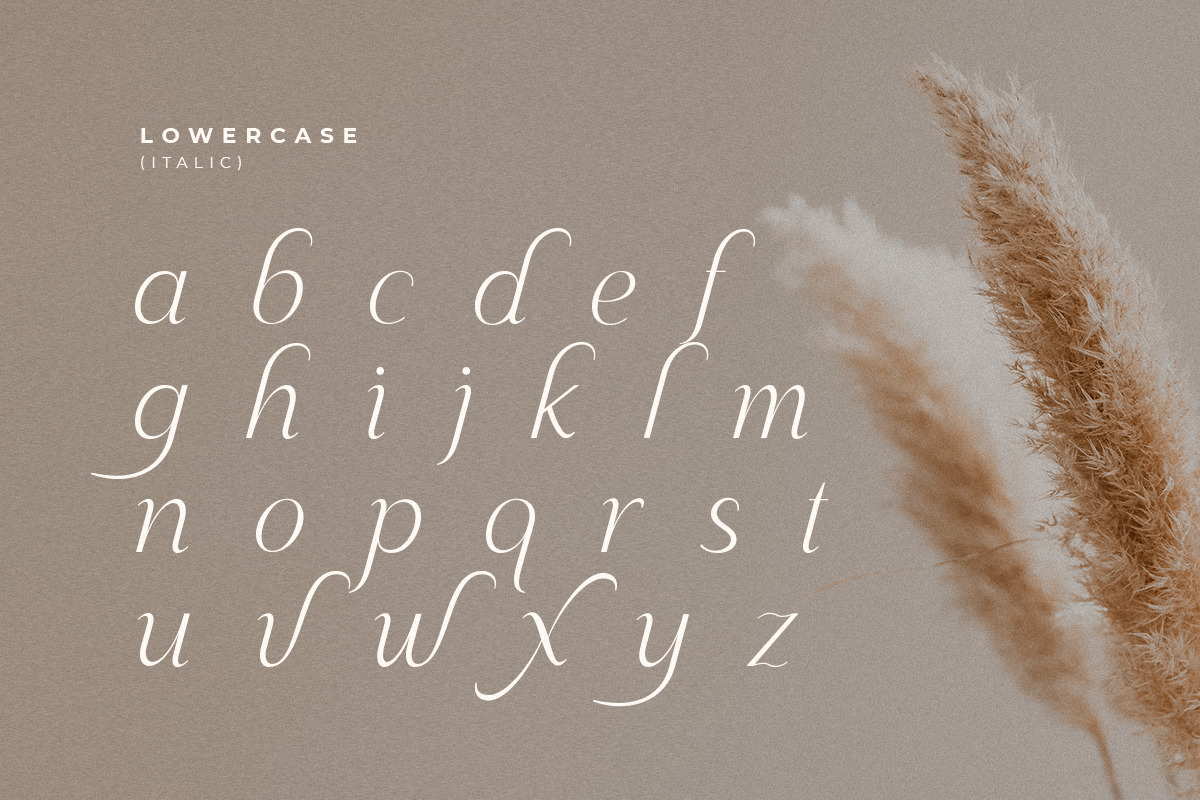 Maguare – Modern Stylish Serif Font Maguare – Modern Stylish Serif Font