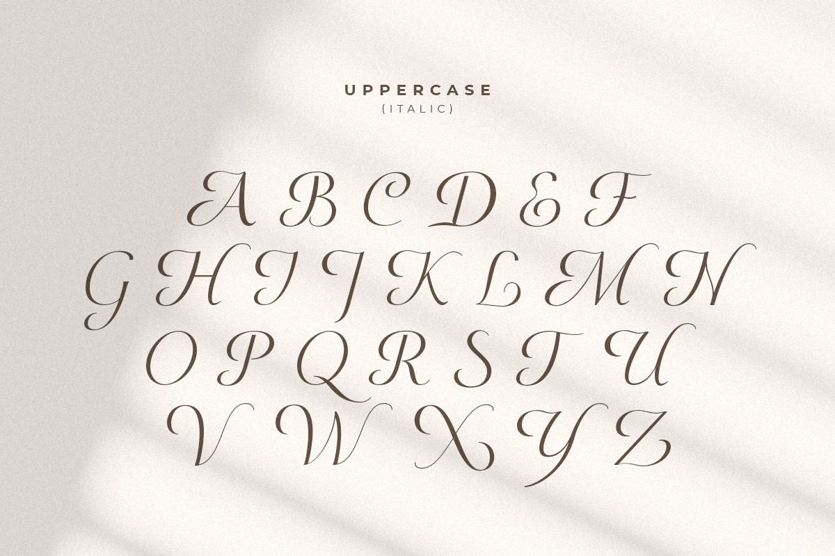 Maguare – Modern Stylish Serif Font Maguare – Modern Stylish Serif Font