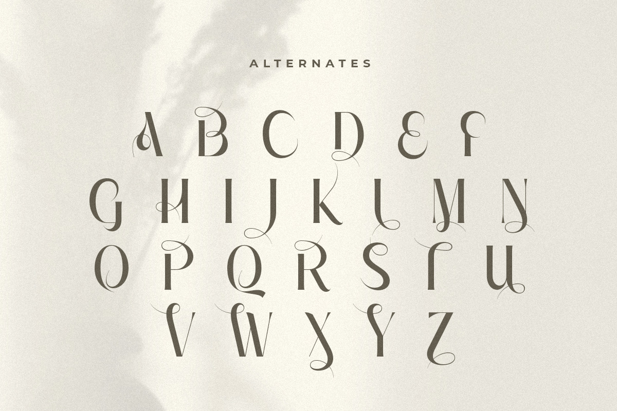 Reward - Modern Luxury Elegant Font Reward - Modern Luxury Elegant Font