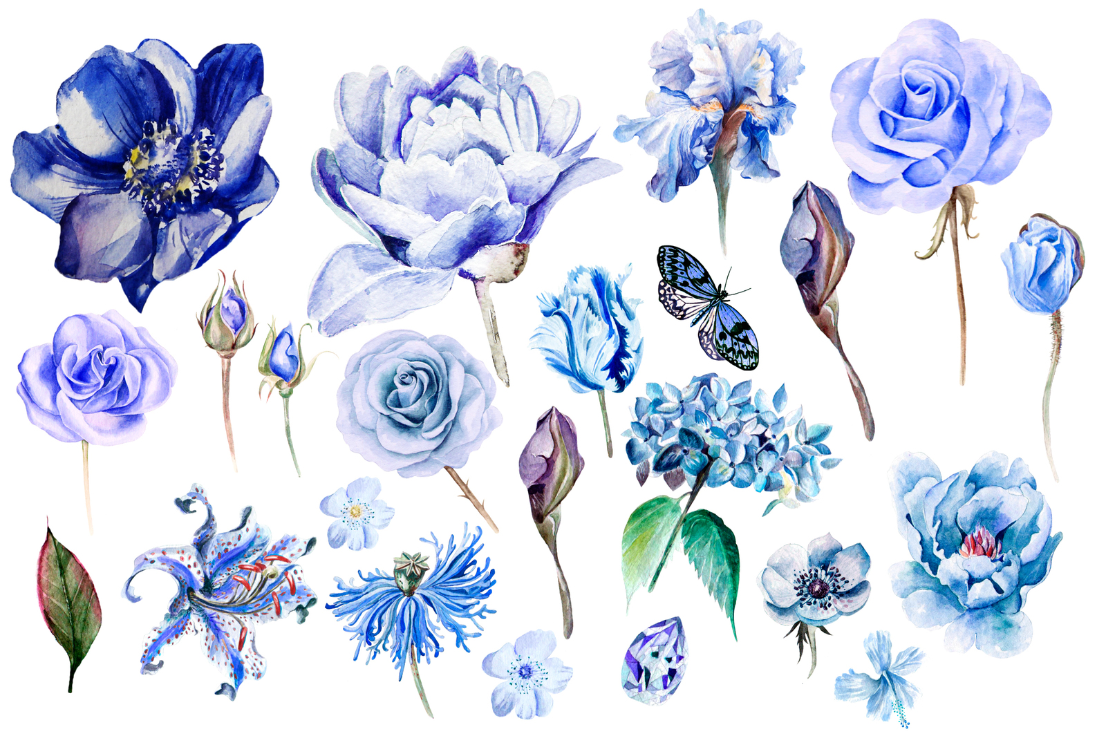 Hand Drawn Watercolor Flowers 86 PNG