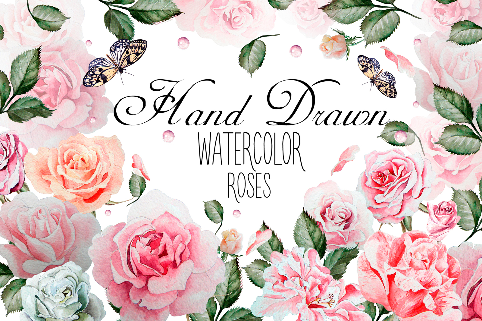 Hand drawn watercolor roses 2