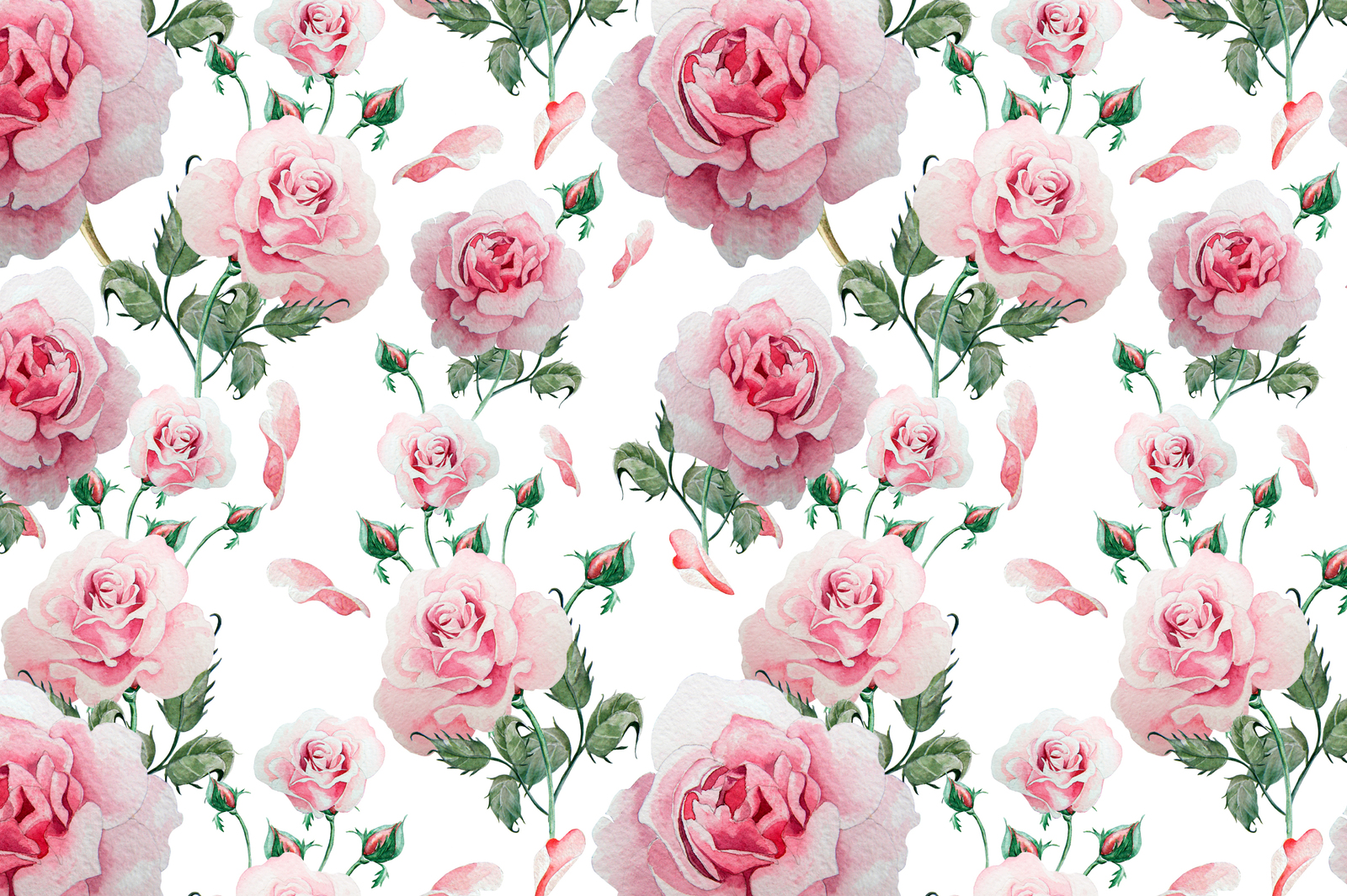Hand drawn watercolor roses 2 Hand drawn watercolor roses 2