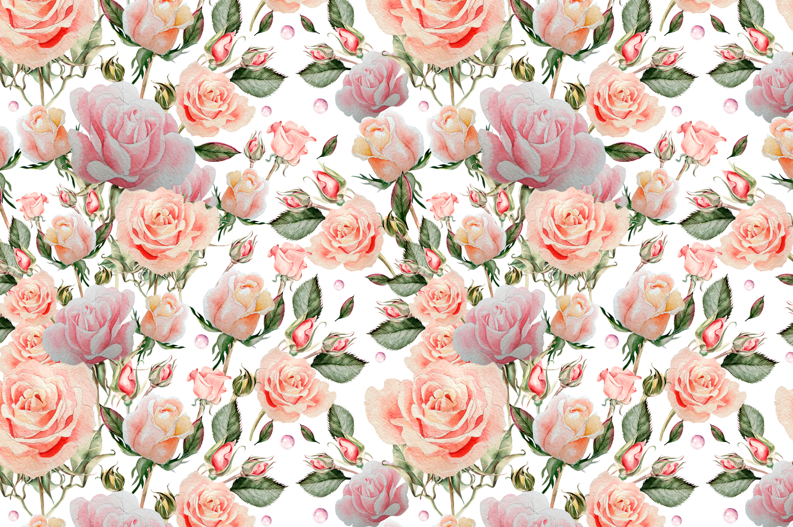 Hand drawn watercolor roses 2 Hand drawn watercolor roses 2