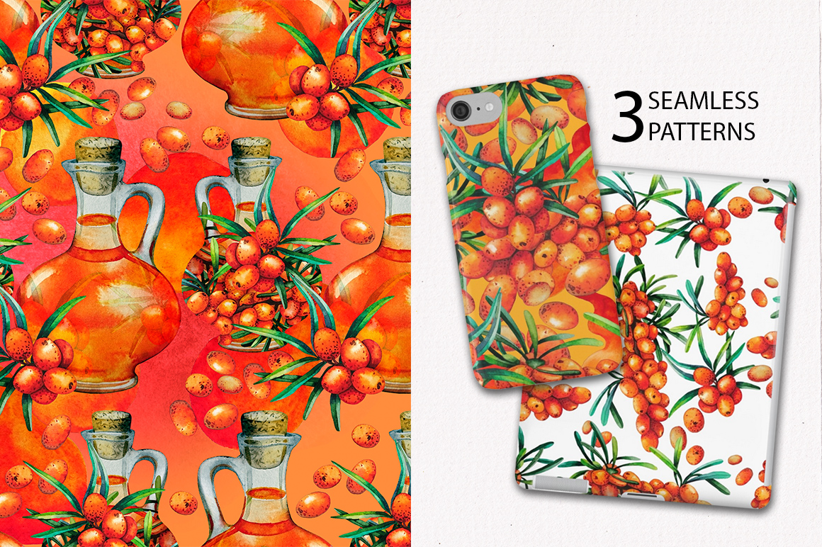 Watercolor Sea Buckthorn Watercolor Sea Buckthorn